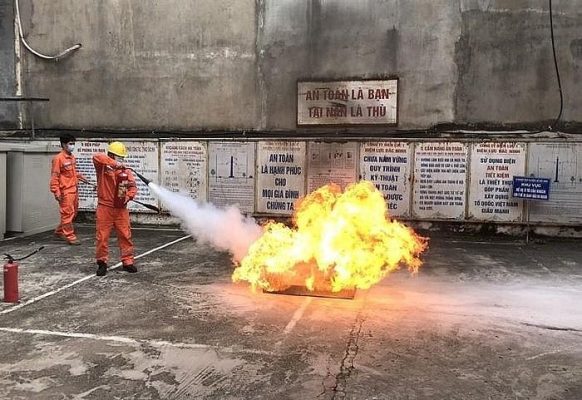 Công ty CP thương mại dịch vụ Ample Sun không chấp hành đình chỉ hoạt động